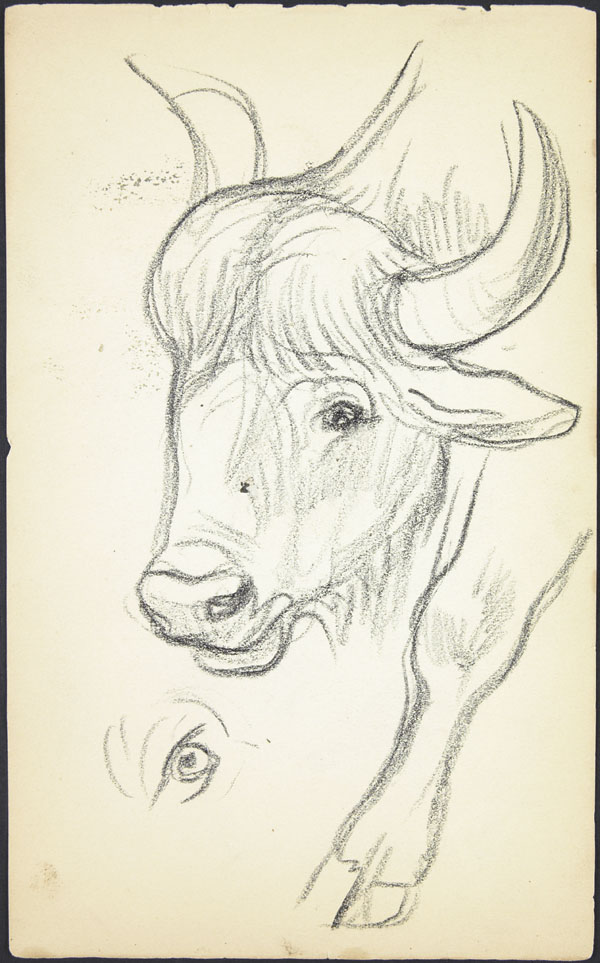 Sketch of a cow's head, Somme