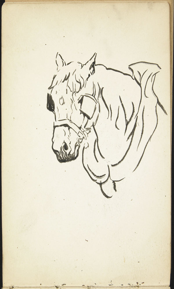 Horse wearing blinders and a collar, Belgium (e008315503)